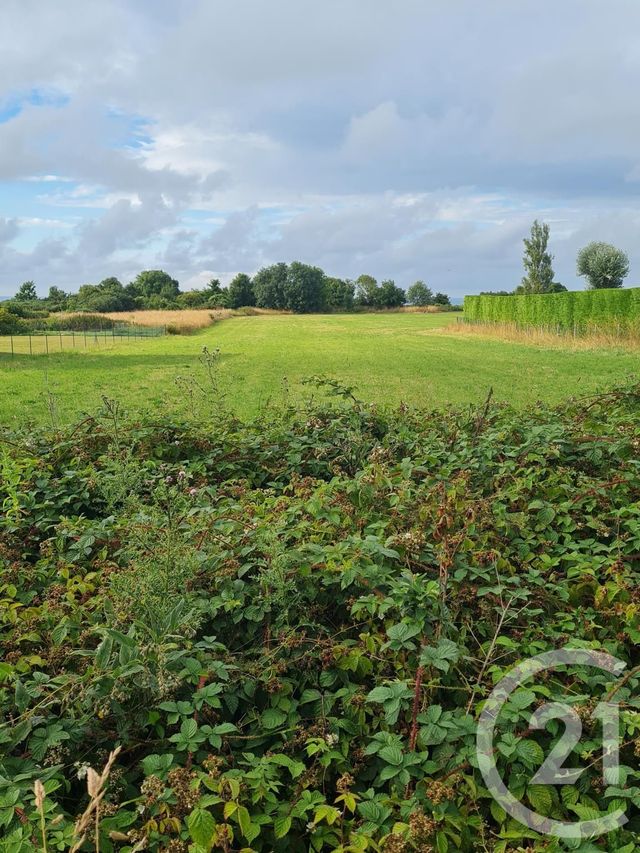 Terrain &agrave; vendre - 4472 m2 - Commes - 14 - BASSE-NORMANDIE