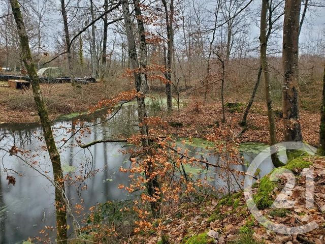 terrain - MARAYE EN OTHE - 10