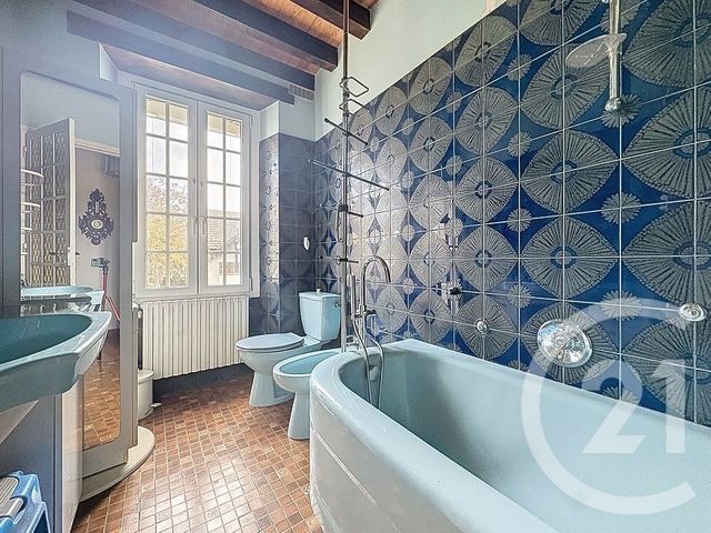 Maison &agrave; vendre - 12 pi&egrave;ces - 322,87 m2 - St Benoist Sur Vanne - 10 - CHAMPAGNE-ARDENNE