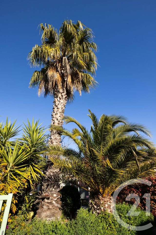 Maison &agrave; vendre - 5 pi&egrave;ces - 133 m2 - Six Fours Les Plages - 83 - PROVENCE-ALPES-COTE-D-AZUR