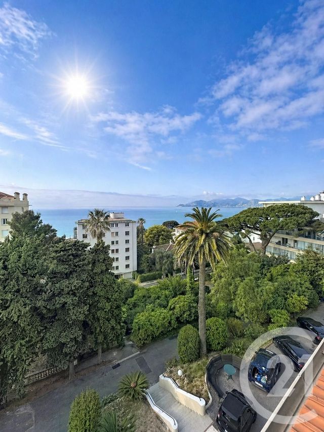 appartement - CANNES - 06