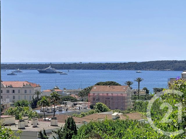 appartement - CANNES - 06