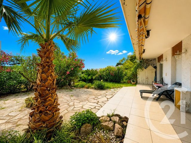 appartement - CANNES - 06