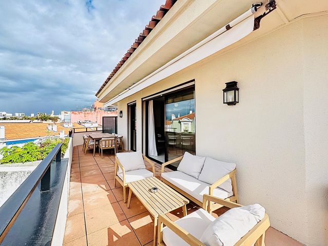 appartement - CANNES - 06