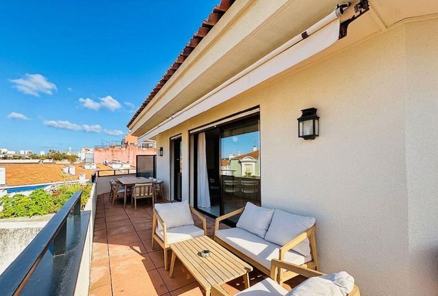 appartement - CANNES - 06