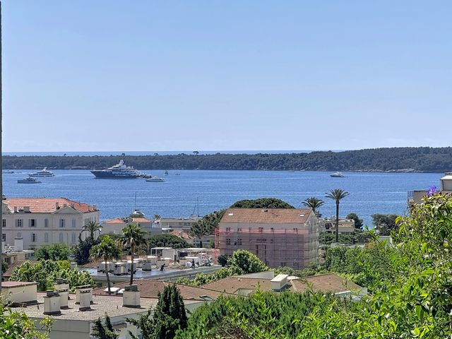appartement - CANNES - 06