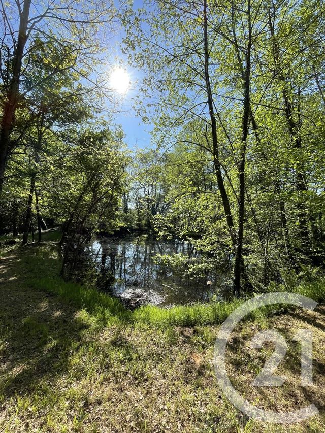 Maison &agrave; vendre - 7 pi&egrave;ces - 138 m2 - Lagorce - 33 - AQUITAINE