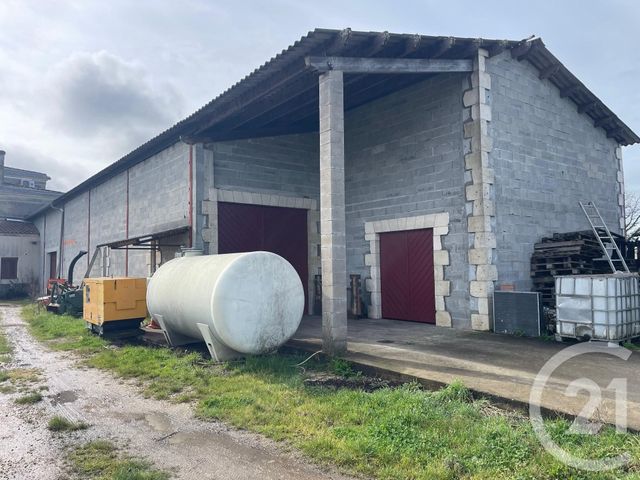Terrain &agrave; vendre - 95274 m2 - Lussac - 33 - AQUITAINE