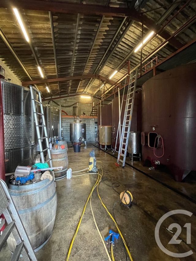 Terrain &agrave; vendre - 95274 m2 - Lussac - 33 - AQUITAINE