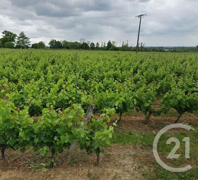 Terrain à vendre LUSSAC