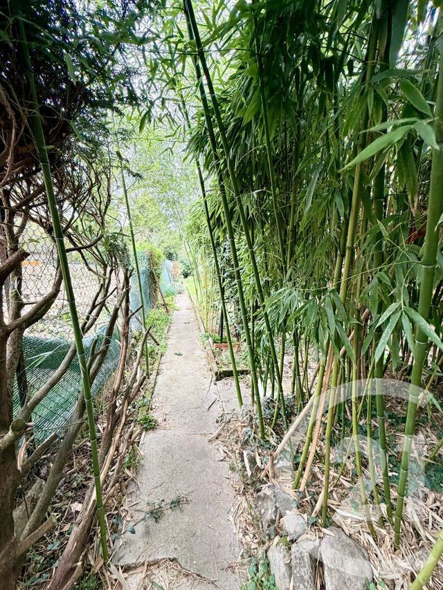 Maison &agrave; vendre - 3 pi&egrave;ces - 53,32 m2 - Thorigny Sur Marne - 77 - ILE-DE-FRANCE