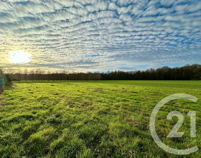 Terrain &agrave; vendre - 369 m2 - Lesches - 77 - ILE-DE-FRANCE