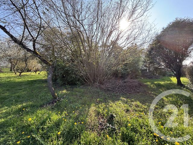 Terrain &agrave; vendre - 787 m2 - Mennecy - 91 - ILE-DE-FRANCE
