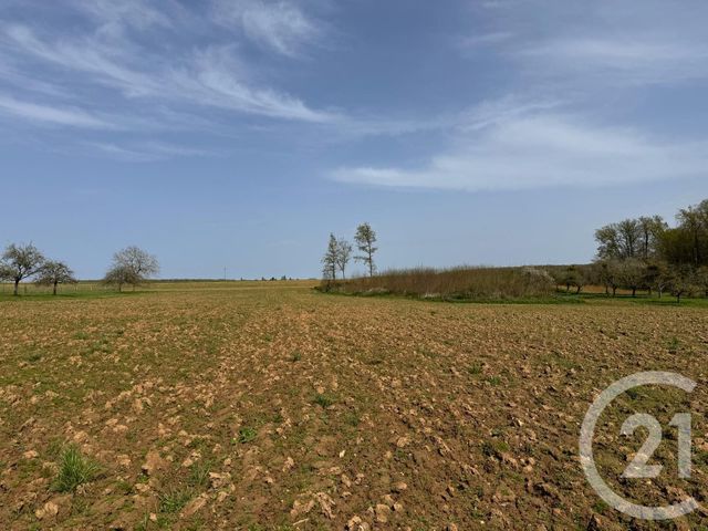 Terrain &agrave; vendre - 3470 m2 - Villeroy - 89 - BOURGOGNE
