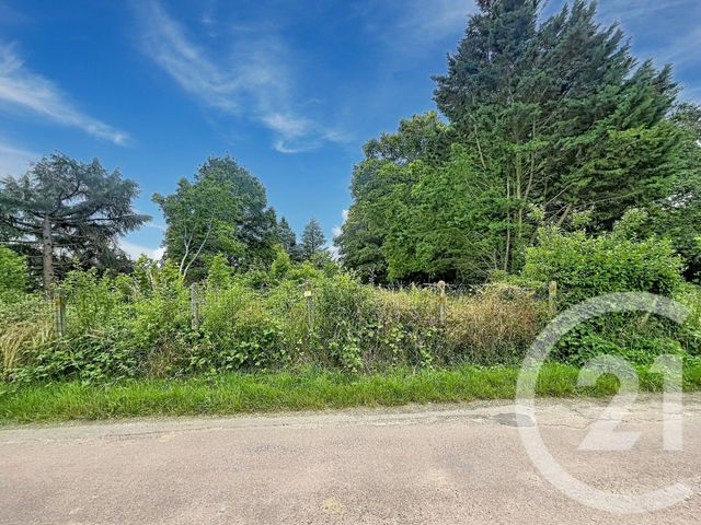 Terrain &agrave; vendre - 12169 m2 - Villeneuve Sur Yonne - 89 - BOURGOGNE