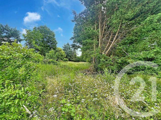 Terrain &agrave; vendre - 12169 m2 - Villeneuve Sur Yonne - 89 - BOURGOGNE