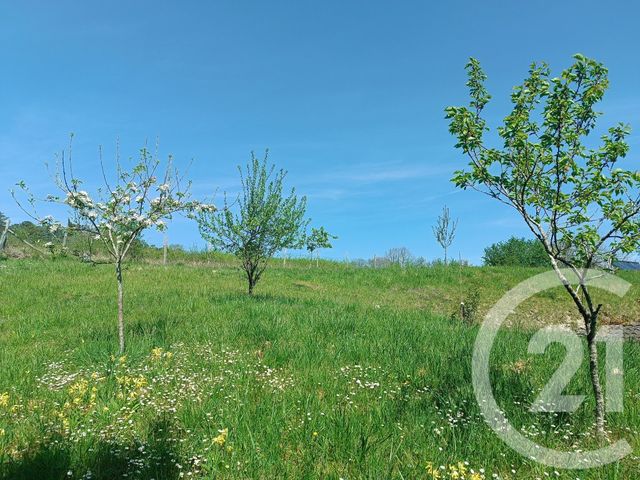 Maison à vendre - 11 pièces - 295,22 m2 - Perigueux - 24 - AQUITAINE