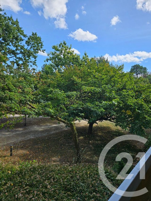 Appartement F1 &agrave; louer - 1 pi&egrave;ce - 25,39 m2 - Gradignan - 33 - AQUITAINE