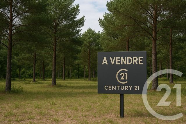 terrain - LANTON - 33