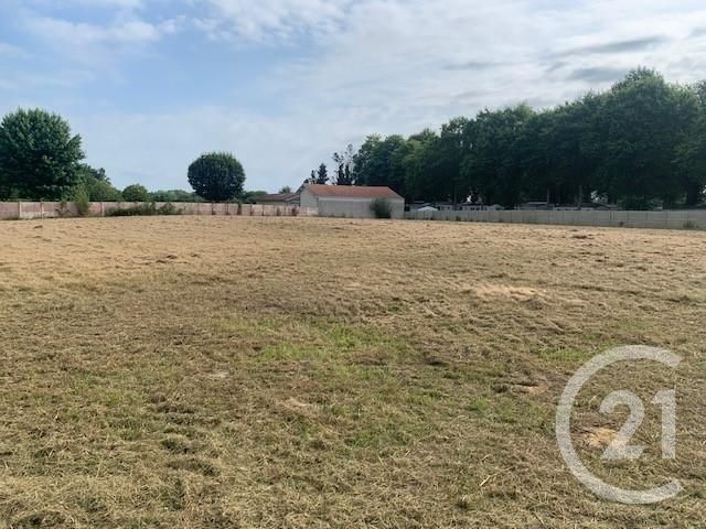 Terrain &agrave; vendre - 4891 m2 - Yzosse - 40 - AQUITAINE