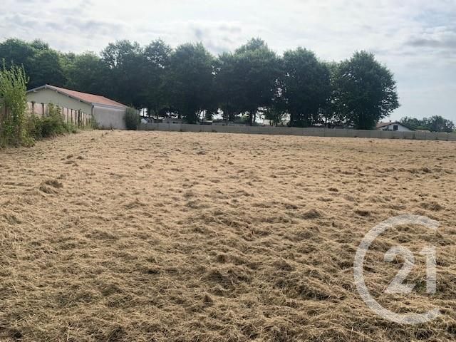 Terrain &agrave; vendre - 4891 m2 - Yzosse - 40 - AQUITAINE