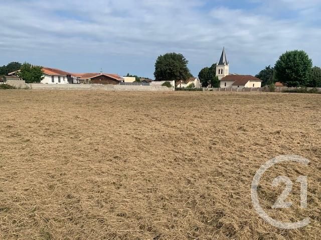 Terrain &agrave; vendre - 4891 m2 - Yzosse - 40 - AQUITAINE