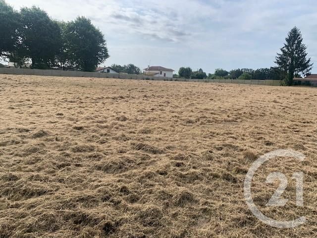 Terrain &agrave; vendre - 4891 m2 - Yzosse - 40 - AQUITAINE