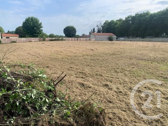 Terrain &agrave; vendre - 4891 m2 - Yzosse - 40 - AQUITAINE