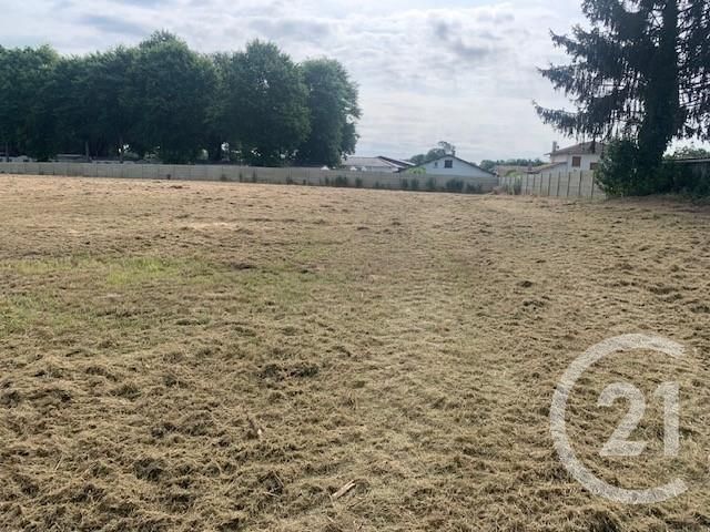 Terrain &agrave; vendre - 4891 m2 - Yzosse - 40 - AQUITAINE