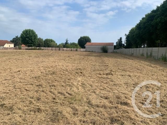 Terrain &agrave; vendre - 4891 m2 - Yzosse - 40 - AQUITAINE