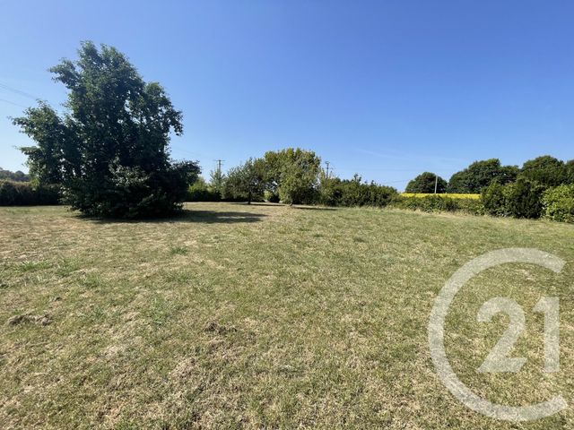 Maison à vendre - 10 pièces - 234 m2 - Saugnac Et Cambran - 40 - AQUITAINE