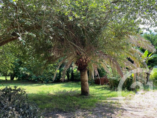 Maison &agrave; louer - 5 pi&egrave;ces - 123,69 m2 - Candresse - 40 - AQUITAINE