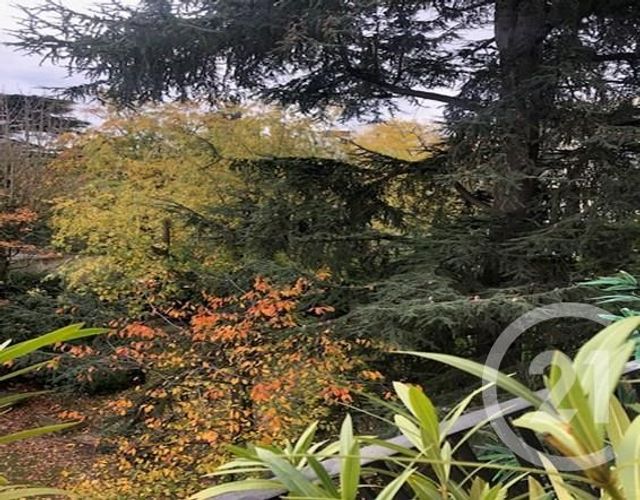 Appartement F2 à louer - 2 pièces - 50,05 m2 - St Cloud - 92 - ILE-DE-FRANCE