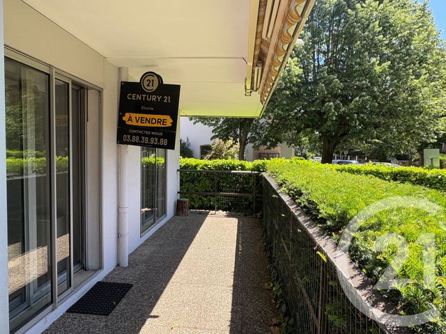 appartement - STRASBOURG - 67