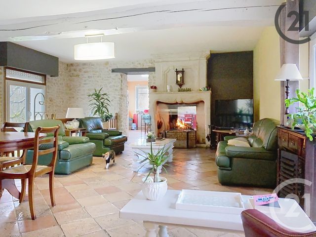 Maison à vendre - 13 pièces - 356,18 m2 - Les Ormes Sur Voulzie - 77 - ILE-DE-FRANCE