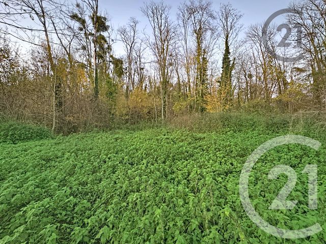 Terrain à vendre - 5221 m2 - Chalautre La Petite - 77 - ILE-DE-FRANCE