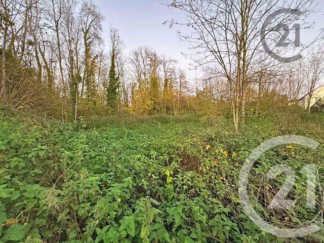 terrain - CHALAUTRE LA PETITE - 77