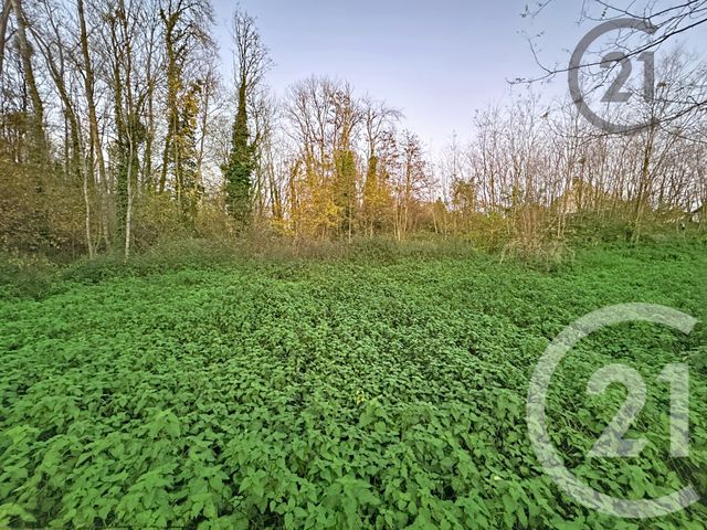 Terrain à vendre - 5221 m2 - Chalautre La Petite - 77 - ILE-DE-FRANCE