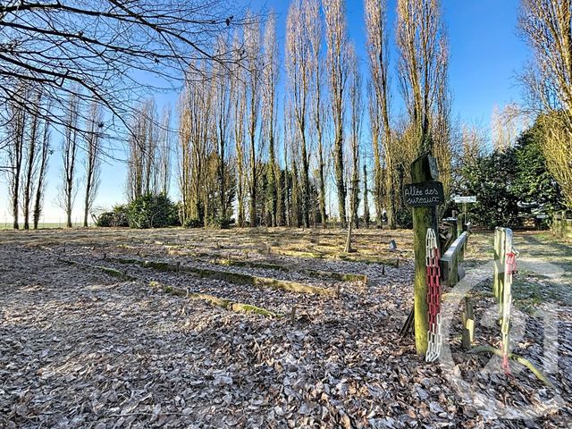 Maison &agrave; vendre - 8 pi&egrave;ces - 310,94 m2 - St Hilliers - 77 - ILE-DE-FRANCE