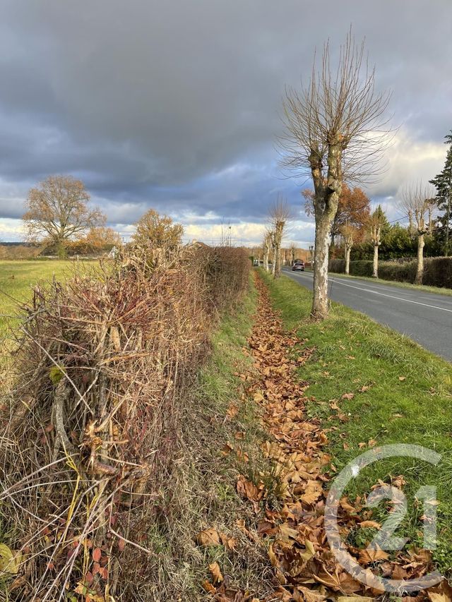 Terrain à vendre - 5022 m2 - Ygrande - 03 - AUVERGNE