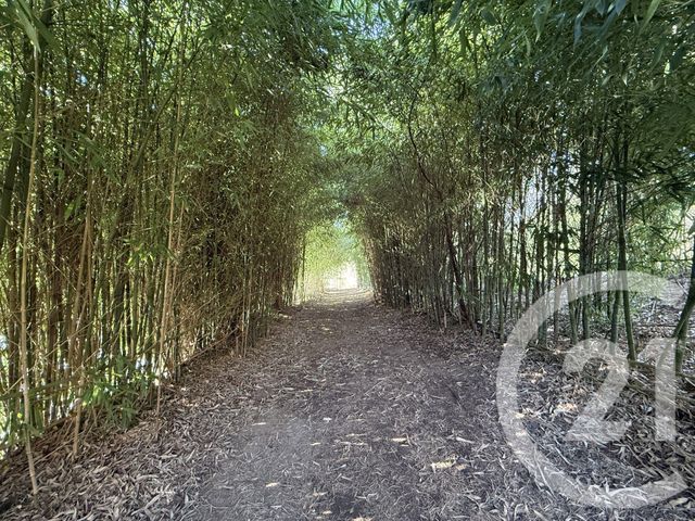 Maison &agrave; vendre - 5 pi&egrave;ces - 216,77 m2 - Villeneuve Sur Allier - 03 - AUVERGNE