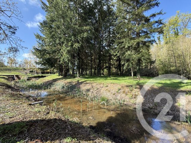 Maison &agrave; vendre - 5 pi&egrave;ces - 120 m2 - Souvigny - 03 - AUVERGNE