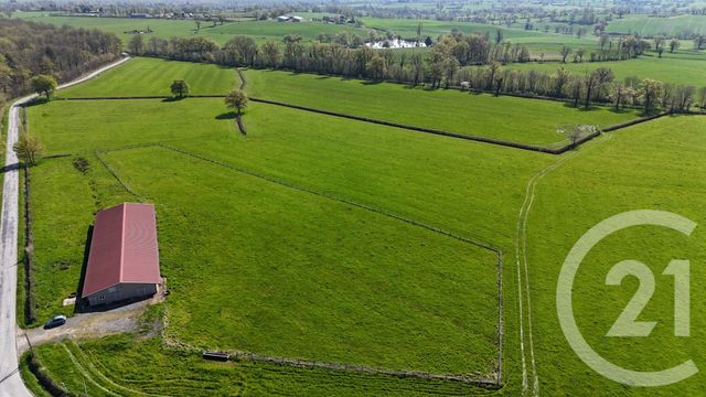 Terrain à vendre - 15026 m2 - Bressolles - 03 - AUVERGNE