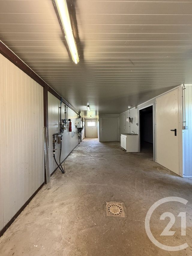 Terrain à vendre - 15026 m2 - Bressolles - 03 - AUVERGNE