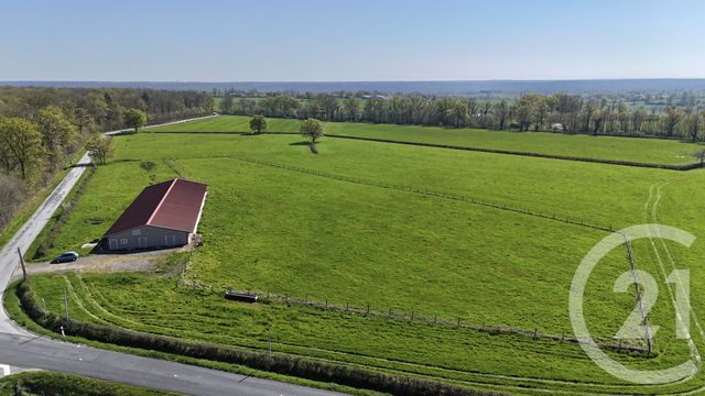 terrain - BRESSOLLES - 03