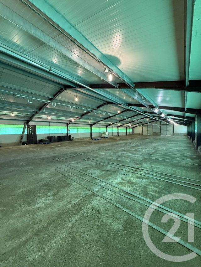 Terrain à vendre - 15026 m2 - Bressolles - 03 - AUVERGNE