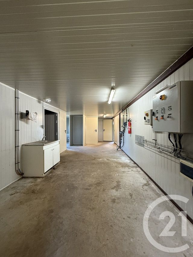 Terrain à vendre - 15026 m2 - Bressolles - 03 - AUVERGNE