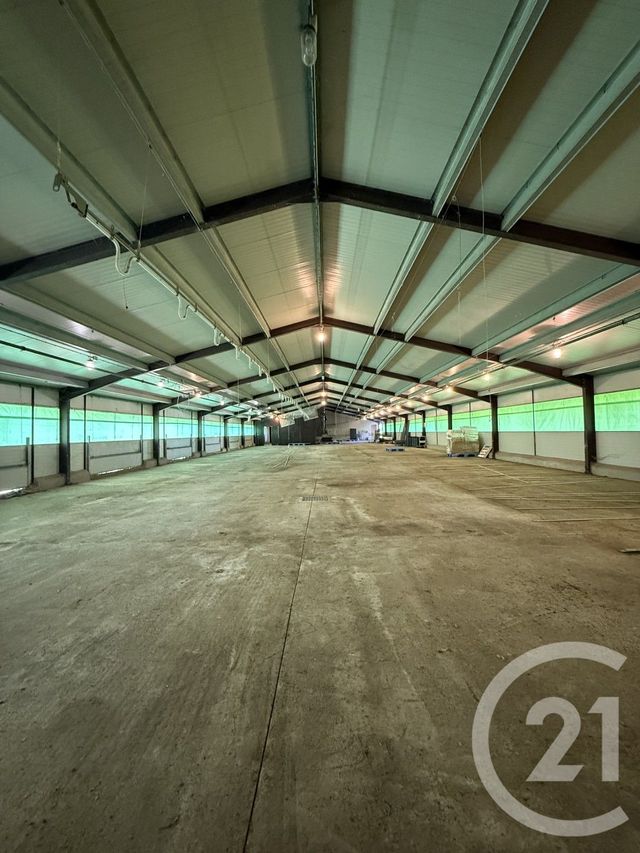 Terrain à vendre - 15026 m2 - Bressolles - 03 - AUVERGNE