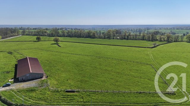 Terrain à vendre - 15026 m2 - Bressolles - 03 - AUVERGNE