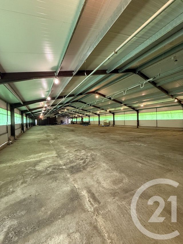 Terrain à vendre - 15026 m2 - Bressolles - 03 - AUVERGNE